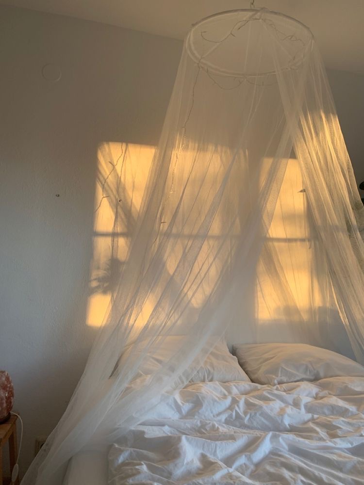 Golden hour light through a NestHaven canopy net